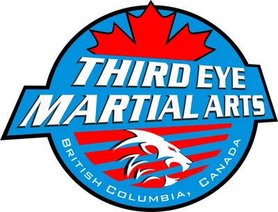Third Eye Martial Arts Studio Dunbar